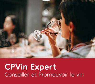 CP-Vin-Expert