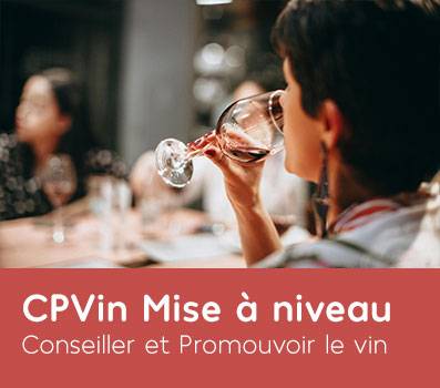 CP-Vin-Mise-a-niveau