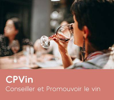 CP-Vin