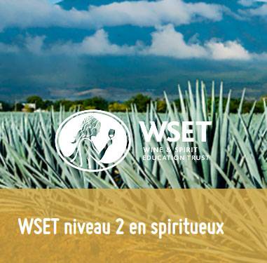 WSET-Spi-02